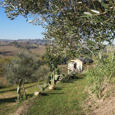 La Luna Nell'Orto-Casa Vacanza Ecologica E Agricoltura Biodinamica Barchi Eksteriør bilde