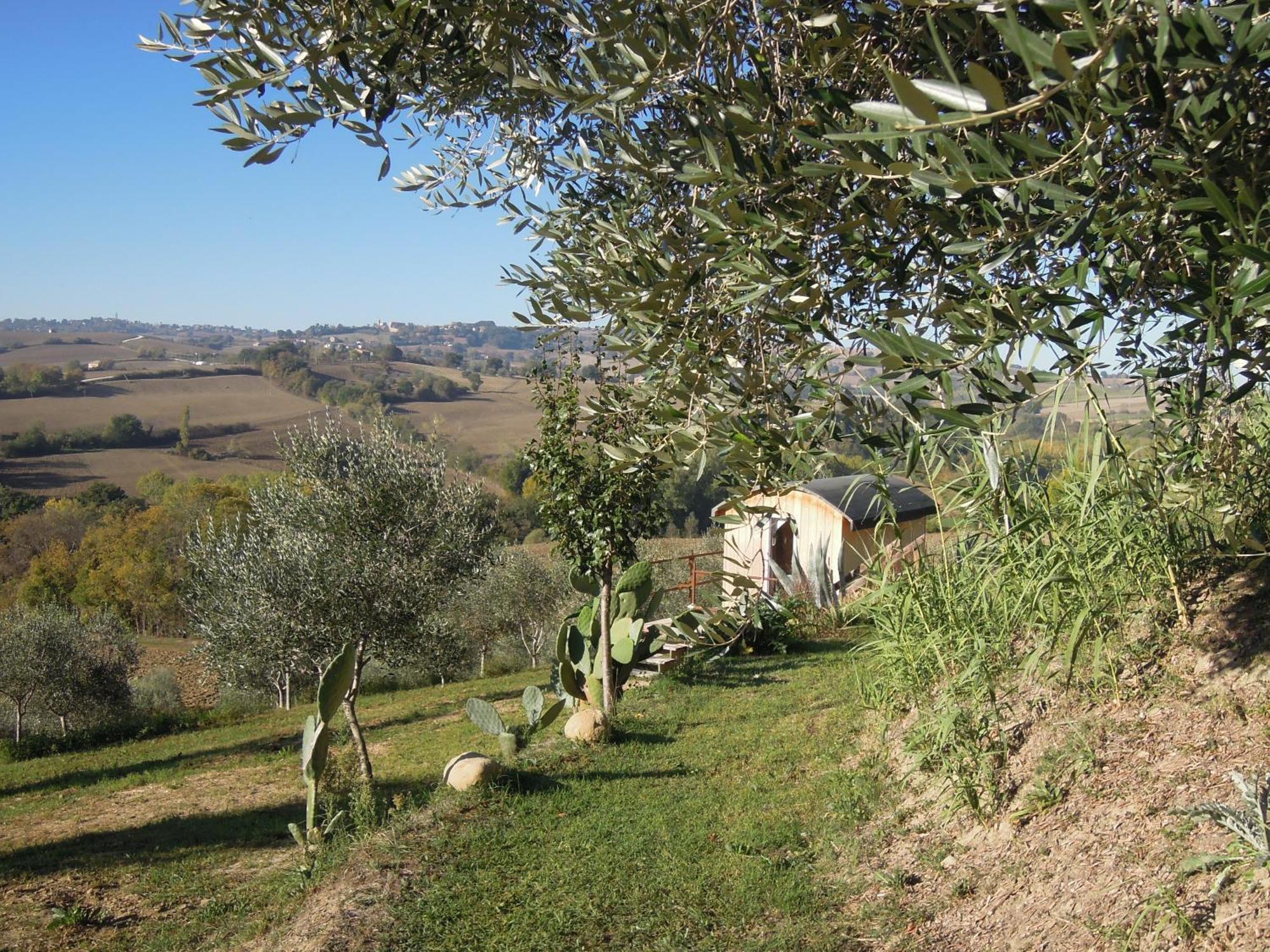 La Luna Nell'Orto-Casa Vacanza Ecologica E Agricoltura Biodinamica Barchi Eksteriør bilde