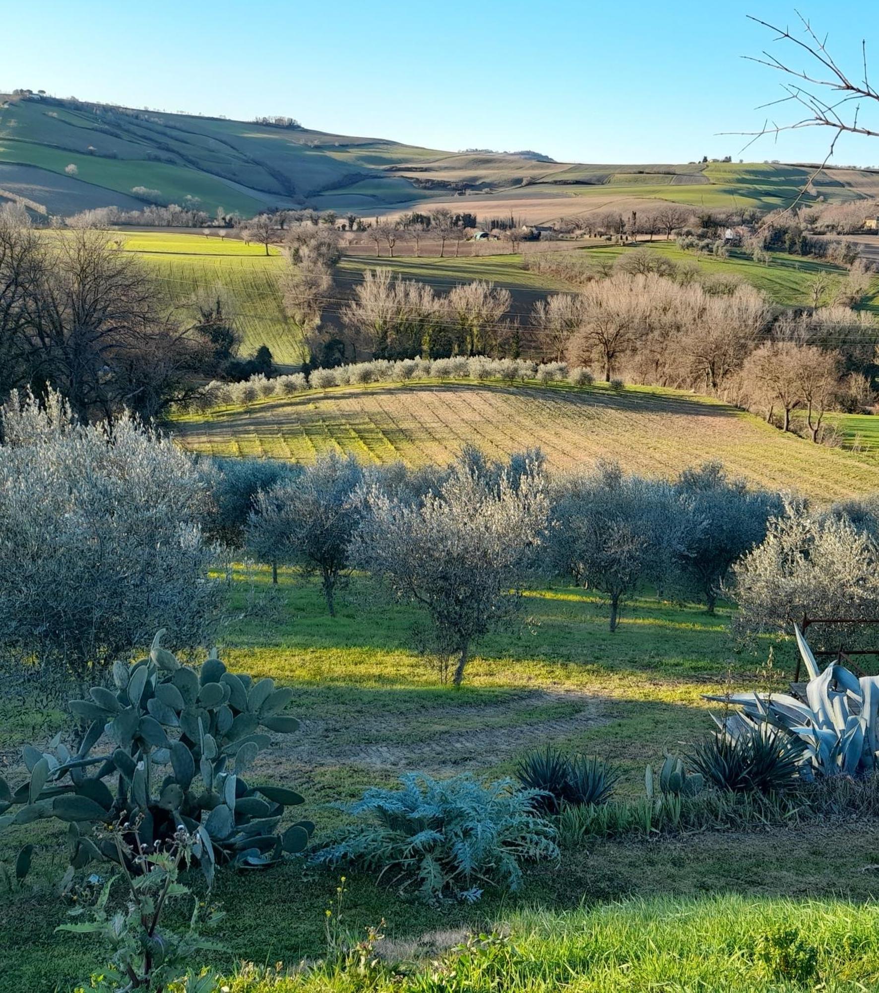 La Luna Nell'Orto-Casa Vacanza Ecologica E Agricoltura Biodinamica Barchi Eksteriør bilde